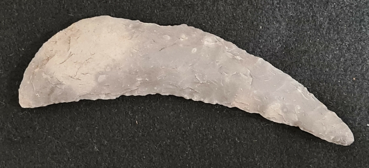10 219 Skår, Lyse socken, Bohuslän. Förvärv år 1916.

Flintskära, 1 st. av gråvit flinta. Cortex bevarad på ena sidan. Insvängd egg, som är blank av nötning. L. 13,3 cm, br. 3,2 cm.