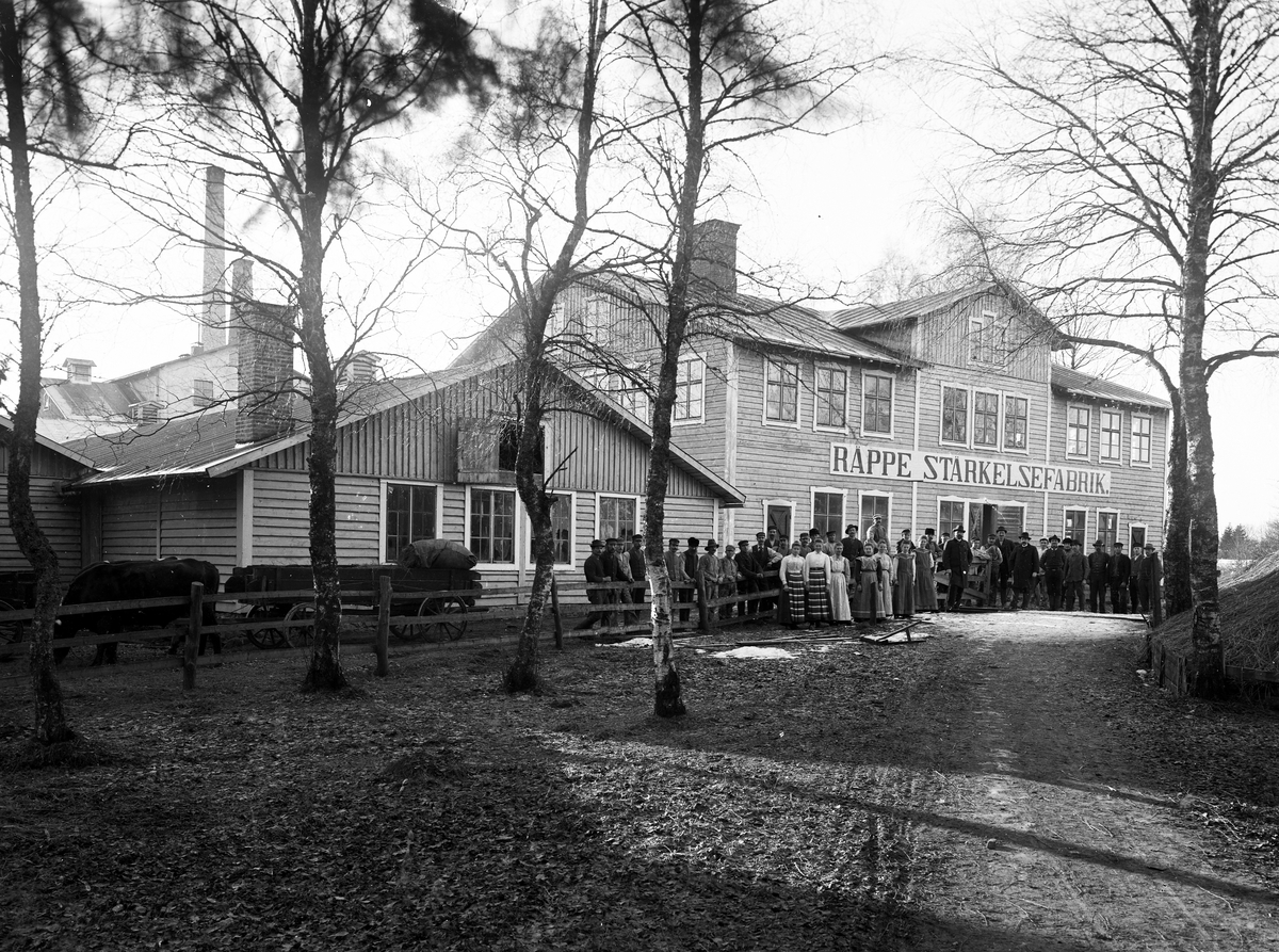 Räppe Stärkelsefabrik, 1901.