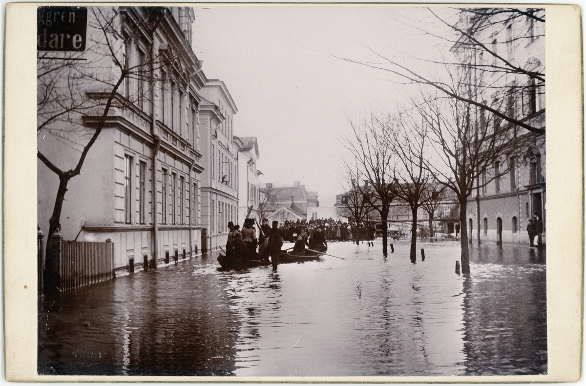 Kabinettsfotografi - översvämning i Uppsala år 1900