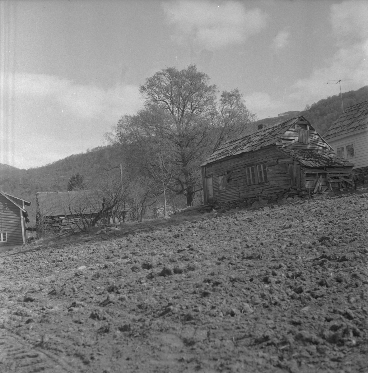 Eigedommen "Gamlestova" på Dørheim i Ølen, 1970. Tjerand Dørheim sine gamle hus.