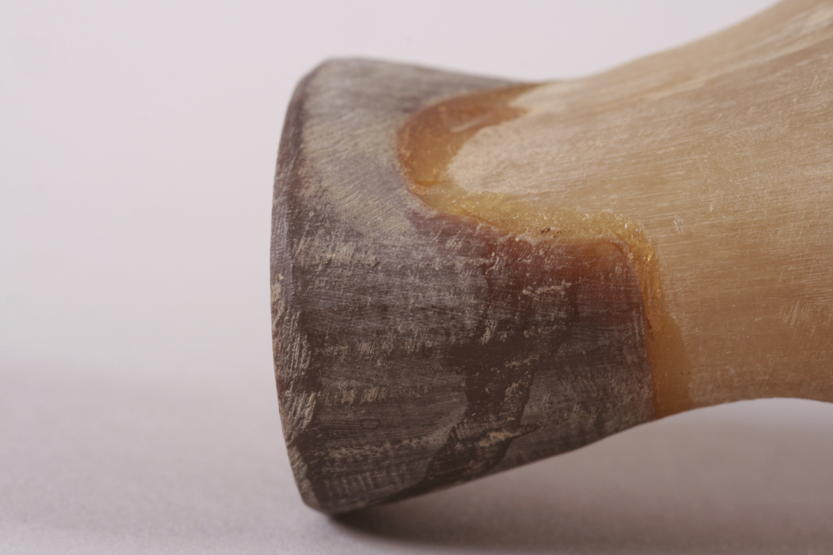 Bukkehorn med tre fingerhull.
Munnstykke i mørkere farge påbygget på smalenden. 
Et hull med lærfeste til oppheng.