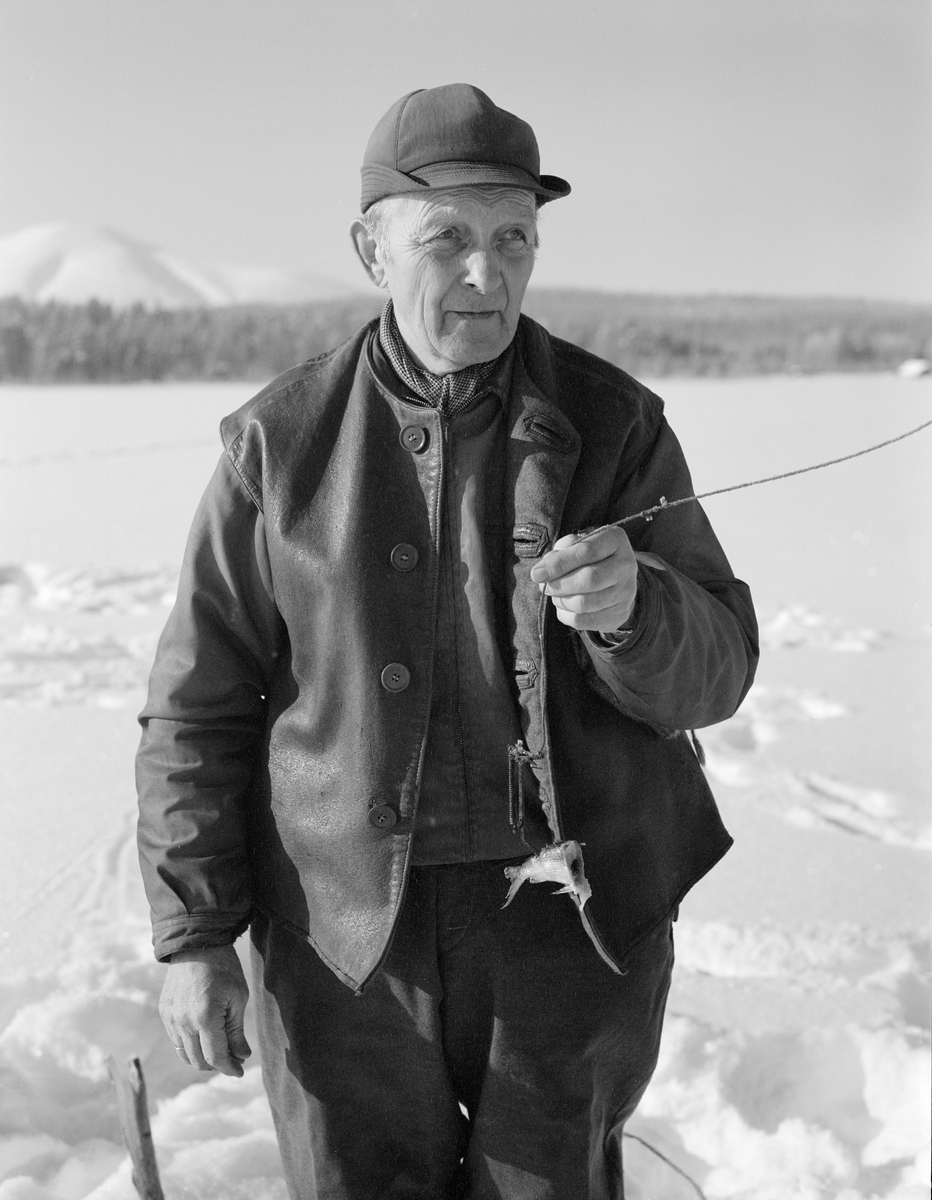 Osvald Kolbu fanger lake med fiskesaks (gjeddesaks) på den snødekte isen på innsjøen Isteren i Engerdal i Hedmark. Bildet ble tatt i slutten av februar 1977.