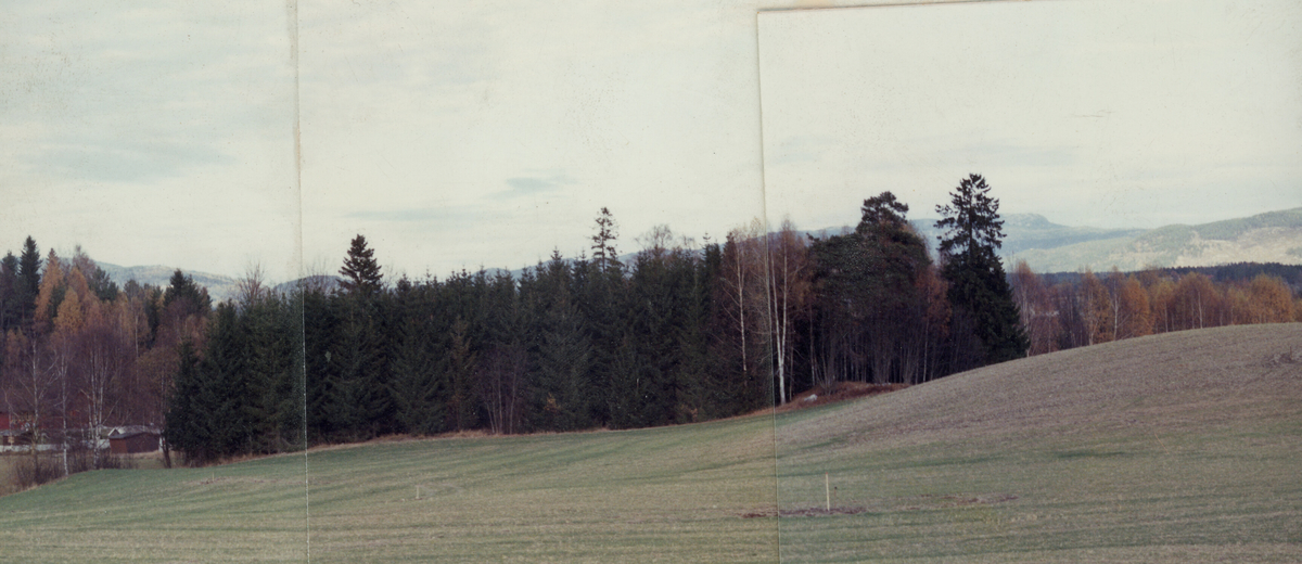 Gullbringområdet før kulturanlegget og høgskulen kom.  Tatt i 1991 av Kjetil Kiland Momrak.  Som original er det sett saman i eit langt bilde.  