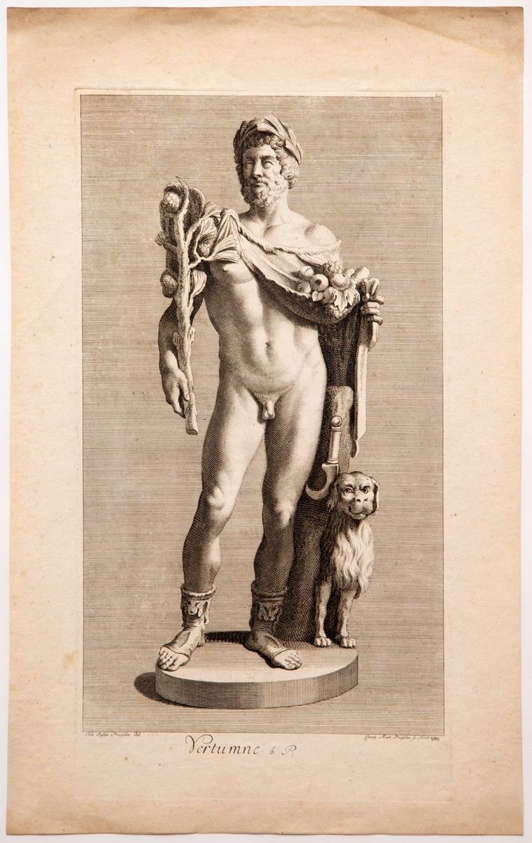 Motivet viser en skulptur av den romerske guden Vertumnus. Guden er fremstilt som en naken mann, kun iført en kappe av dyreskinn rundt skuldrene samt laurbærkrans. Han holder ulike vekster og frukter. Skulpturen flankeres av en trestamme med en sigd samt en liten hund.