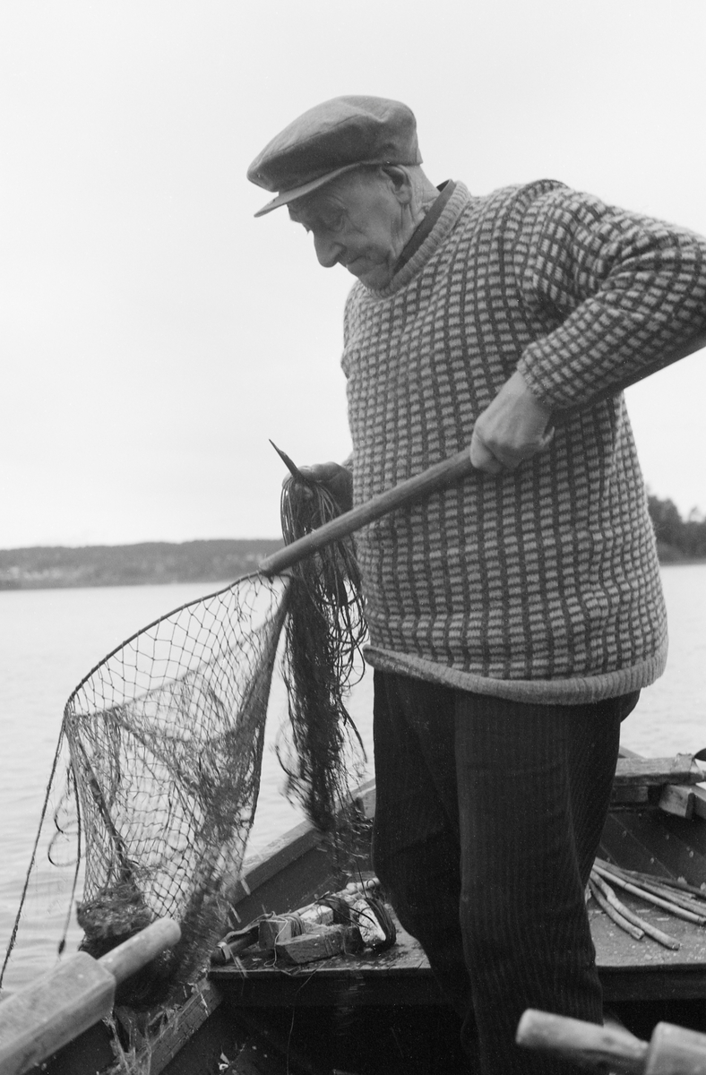 Yrkesfisker Paul Stensæter (1900-1982), fotogfrafert i robåten han brukte under garnfiske etter sik og ørret i Steinsfjorden, en sidearm til Tyrifjorden på Ringerike i Buskerud. Bildet ble tatt høsten 1973. Stensæter var da den siste som hadde næringsfiske som hovedsyssel i dette området. Da han var ung skal det ha vært 17-18 som drev slikt fiske. På dette fotografiet ser vi fiskeren som sto i båten med en håv der det lå en forholdsvis stor fisk i den ene handa og et nytrukket garn i den andre. Stensæter var iført bredstripete coirdfløyelsbukser og rutemønstret ullgenser. På hodet bar han ei sixpencelue. Fotografiet ble tatt en gråkald dag i slutten av oktober. 

Åsmund Eknæs fra Norsk Skogbruksmuseum intervjuet Paul Stensæter i 1973 og 1974. Det fiskeren fortalte om høstfisket med garn sammenfattet Eknæs slik:

«Høstfisket er særlig konsentrert om siken, og det er bare garn som benyttes. Allerede i juli kan han begynne, og de tre første ukene kalles fisket for "lusfiske" fordi fisken da har lus. Denne "lus-siken" er noe mer småfallen enn "grunnsiken", som opptrer lenger ut på høsten. Sjøl om det er siken som er hovedarten, får han også en del ørret og brasme under høstfisket.

Han fisker på bunnen og bruker som søkke på garna jernringer med 9 cm diameter. Disse ringene er gjort litt større enn ei utstrukket maske for å hindre at de skal smette gjennom og skape ugreie. Tidligere besto søkkene av neverruller fylt med stein og ble kalt "skvælper". Fløttene, "flæra", er av brettet never.

Når det gjelder fangstmengdene under høstfisket har vi det samme forhold som ved sommerfisket. Det finnes ikke nøyaktige oppgaver. Men dagsfangster mellom 15 og 25 kilo må anses for å  være ganske normalt.

Når de reset høstsiken kunne det bli betydelige mengder med rogn. Denne brukte fiskerne gjerne i egen husholdning. Rå, saltet sikrogn var et vanlig pålegg. Enten vispet de den for å få bort trevlene, eller der gjorde som Pauls far, saltet hele rogna og brukte den på brødet slik den var.»
Yrkesfisker Paul Stensæter med håv i båten under garnfiske etter sik og ørret i Steinsfjorden, Ringerike, Buskerud.