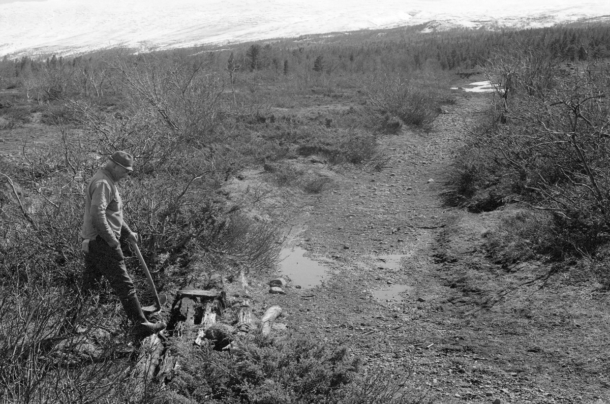 Simen Bjørgen fra Garmo i Lom viser en "sleoplass", et sted man hadde en sløe (faststående fiskeinnretning) ved "Nordre åi" i elva Smådøla nær innsjøen Tesse i Jotunheimen, Lom, Oppland.