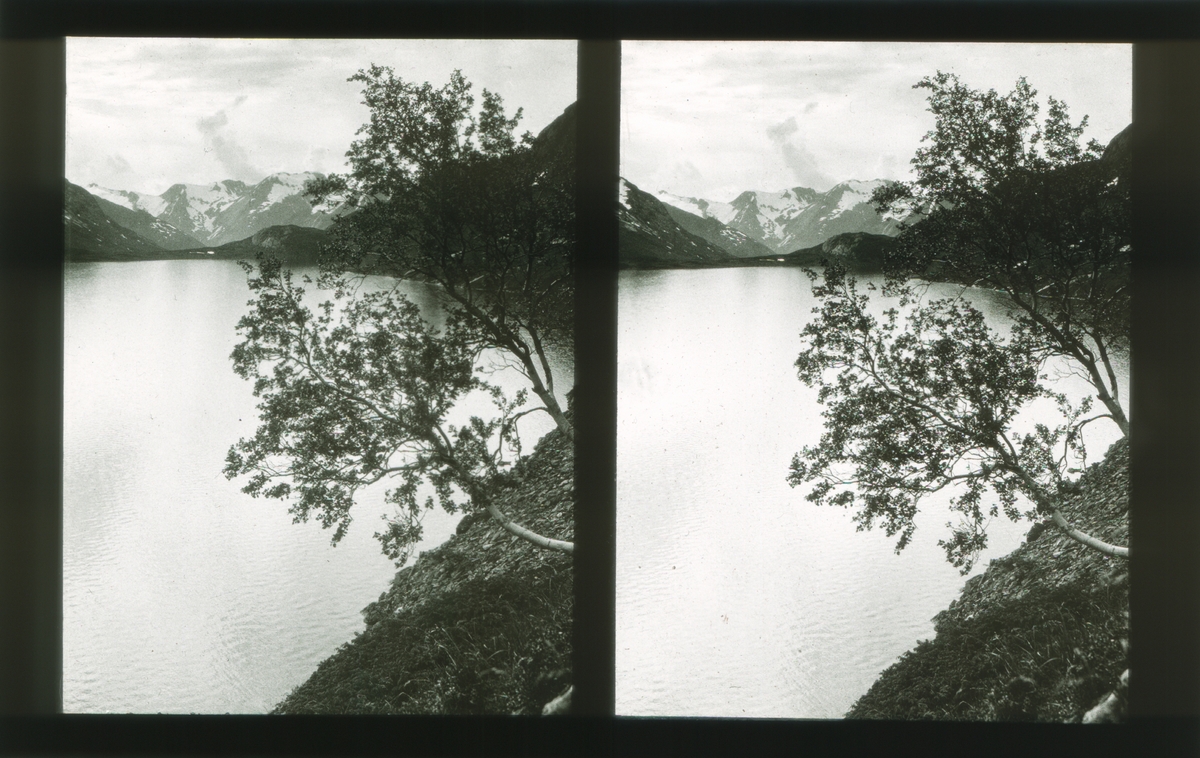 Fjellandskap med innsjø. Tilhører Arkitekt Hans Grendahls samling av stereobilder.