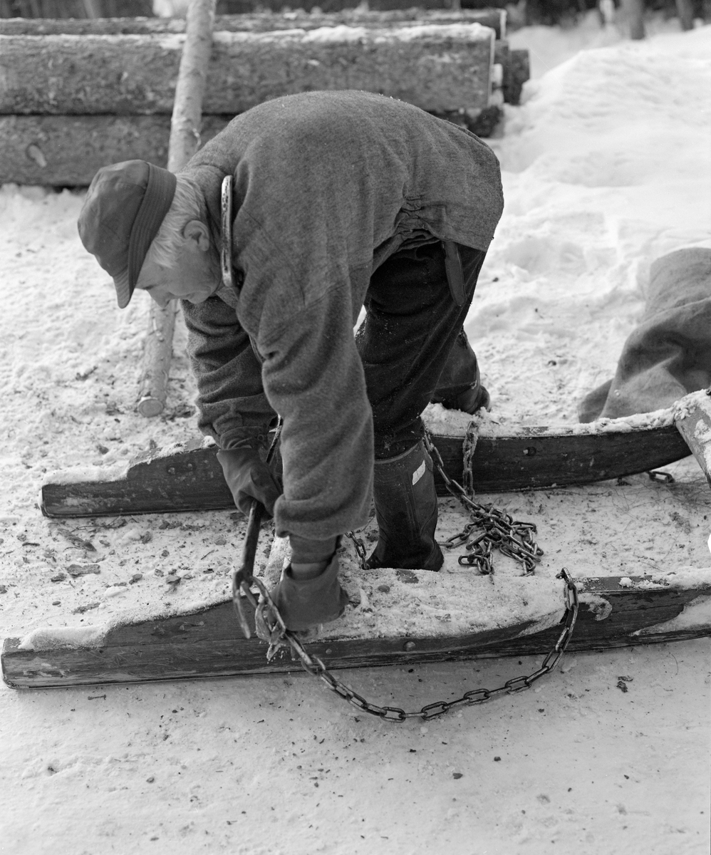 Tømmerkjører Kåre Bratteggen (1910-1999), fotografert under tømmerlunning med «bukk» (en kort slede) av svensk modell på Lundsberget i Trysil vinteren 1977.