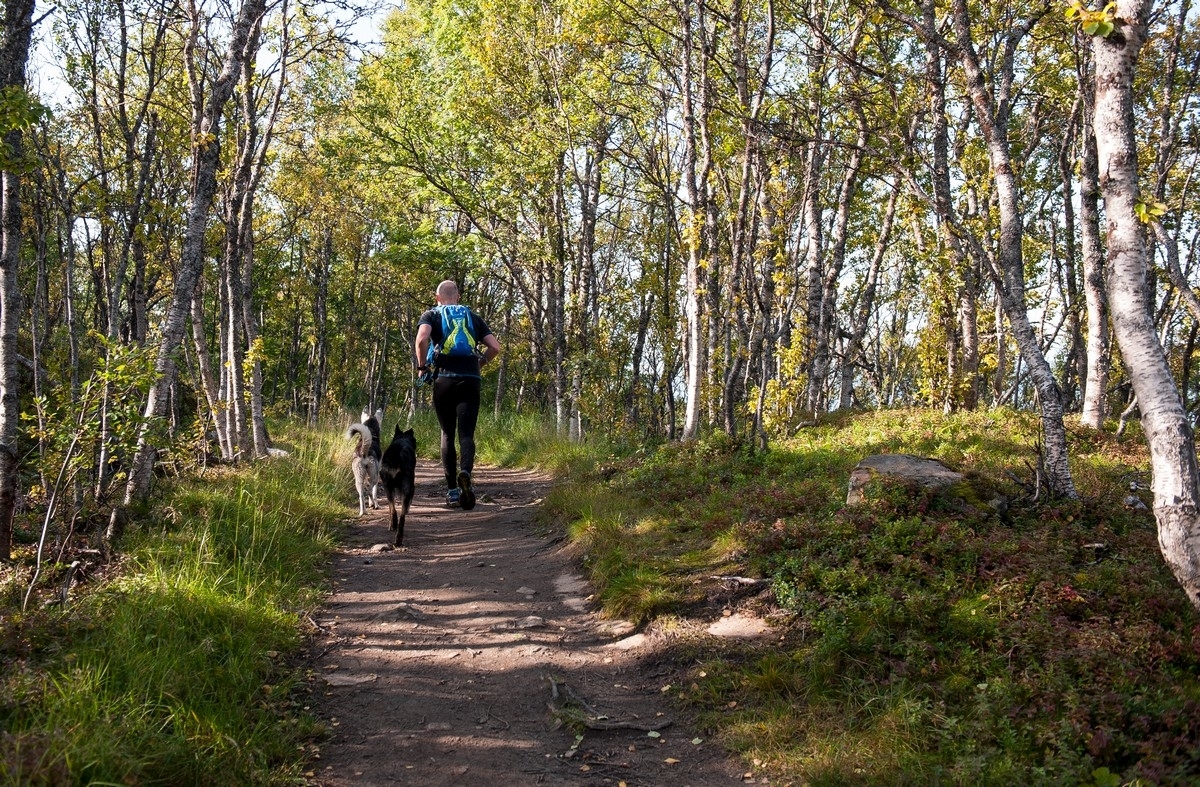 Mann med to hunder jogger innover stien til Tøttadalen. Bildereportasje fra Tøttadalen, Førstevann, Pumpvann og FUNN-hytta. Artikkel i Fremover lørdag 19. sept 2015.Foto 10. sept 2015
