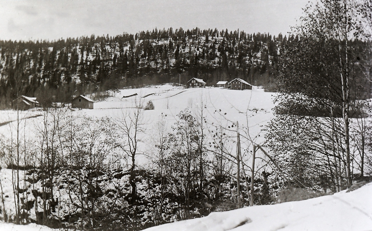 I 1915 kom det en halv meter snø i midten av september. Til venstre b.nr 35 Nedre Ljøterud, oppe til høyre b.nr 1. I forgrunnen Vesleelva (Rajeelva).
Høyden over Ljøterud kalles Kongeberget, for her var det laget en mineringshylle for å saluttere i 1845 da Kongs Oskar I reiste fra Kongsberg til Skrim. Men han reiste over Sagvolden, og salutten ble aldri avfyrt, men hullene er fortsatt synlige.