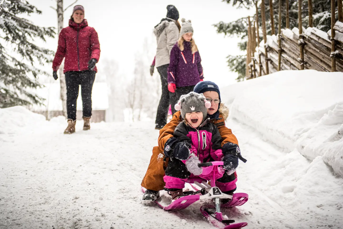 To glade og hylende barn på rattkjelke i fart, noen voksne i bakgrunnen som ser på dem og smiler. Grantrær med snø og en skigard langs bakken de aker ned.