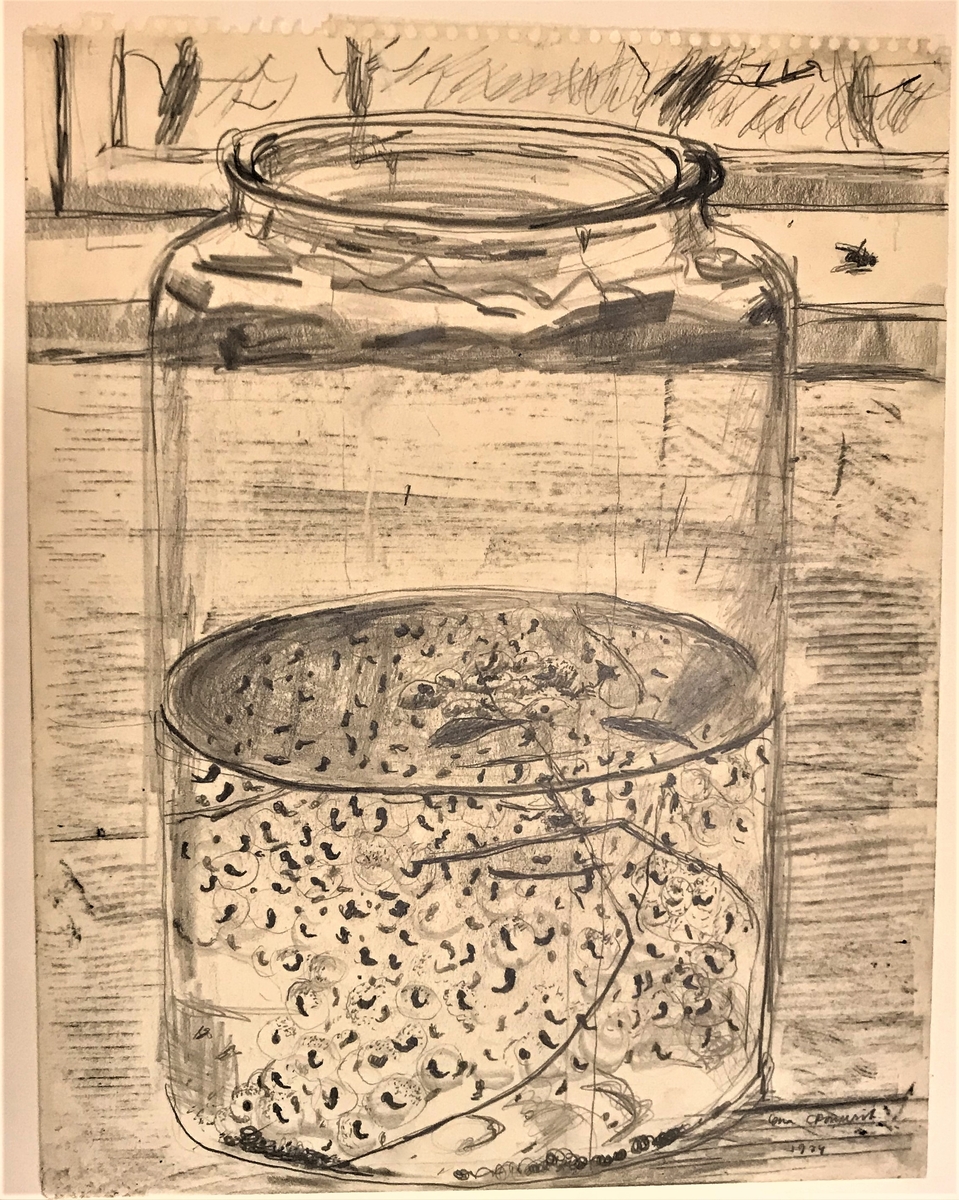 Närbild av en glasburk, till hälften fylld med vatten, där grodyngel simmar. I bakgrunden en fönsterbänk med en död fluga till höger.