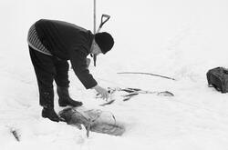 Yrkesfiskeren Paul Stensæter (1900-1982), fotografert mens h
