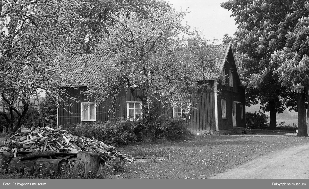 Byggnadsinventering 1972. Pålhammarsgården, stä 586-7 från Ö.