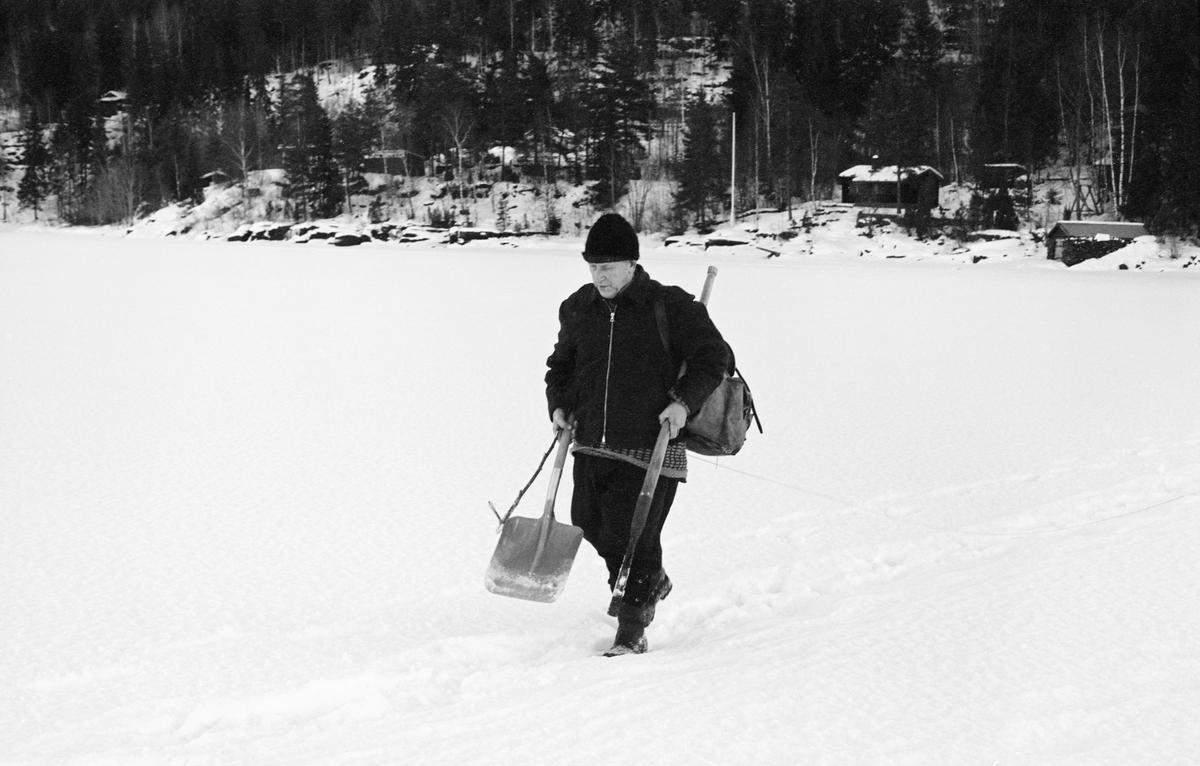 Yrkesfiskeren Paul Stensæter (1980-1982), fotografert gående på den snødekte isflata på Steinsfjorden, en sidearm til Tyrifjorden på Ringerike i Buskerud. Han bar en isbil under den ene armen, en spade og en pinne under den andre. I tillegg bar han en sekk på ryggen. Isbilen og spaden ble brukt til å fjerne is og snø som hadde samlet seg i og omkring de hullene han satte og trakk fiskegarna sine fra. Garna ble trukket med to døgns mellomrom. Ryggsekken skulle Stensæter bære fangsten i. Garnfisket i Steinsfjorden vinterstid var først og fremst et sikfiske. 

I 1970-åra var etnologen Åsmund Eknæs fra Norsk Skogbruksmuseum flere ganger på besøk hos Paul Stensæter for å observere ham i aktivitet som fisker og intervjue ham om denne virksomheten. Eknæs oppsummerte det han fikk se og høre  om garnfisket under isen på Steinsfjorden slik:

«Sikfiske med garn. Dette fisket foregikk på to steder, i åpent vann ute i Tyrifjorden og under isen i Steinsfjorden. Tyrifjorden er ofte åpen langt utover vinteren og det hender at den ikke legger seg i det hele tatt. De dro da i båt over fra Steinsfjorden og satte garn på ganske store dyp, 20-40 favner. Når det ble fisket for fullt ble det brukt 20 garn. 10 sto ute mens de øvrige var hjemme til tørking.

Garnfisket under isen i Steinsfjorden begynner så fort isen legger seg om høsten, fordi tynn og gjennomsiktig is er en fordel når garna skal settes ut første gang. Å sette ut garn under isen kaller Paul for øvrig «å høgge ut garna». Dette krever en spesiell teknikk. Er isen gjennomsiktig, foregår det på følgende måte: To hull hogges med så lang avstand som lengda på garnet. Ei rett granstang på 7-8 m stikkes ned i det ene hullet med den tynneste enden først. I den tykkeste enden er det et hull hvor det blir festet ei snor. Stanga blir nå skjøvet i full fart mot det andre hullet. En viktig detalj ved denne stanga er at den skal være nyhogget. Da ligger den dypere i vannet og skubber mindre mot isen. Stanga går ikke helt fram til det andre hullet. Der den stopper blir det hogget et mindre hull og den skyves videre ved hjelp av en kjepp med ei kløft i enden. Når snora er brakt fram på denne måten, er det en enkel sak å trekke garnet under isen. 

Men er isen ugjennomsiktig, slik at det er umulig å se stanga, må Paul gjøre det på en annen måte. Da finner han ei lang stang med god krumming på. Så hogger han hull så tett at stanga kan stikkes ned i det ene og komme opp igjen gjennom det neste.

Garnet er nå på plass under isen og står på bunnen på 5-10 favners dyp. Fra hver ende av garnet går det ei tynn snor opp til hullet i isen. Snorene går ikke opp gjennom hullet, men er festet litt ved siden. Dette er gjort for å hindre at han hogger dem av når is som har dannet seg i hullet skal fjernes.

Dagens nylongarn tåler å stå ute hele vinteren. Tidligere, da lin og bomull var mest brukt, var det nødvendig å ta garna opp og tørke dem. Av de 20-40 garn som Paul brukte, var halvparten til tørk.

Ettersynet, som gjerne foregår annenhver dag, begynner med at han får tak i snorene fra garnet ved å stikke en pinne med krok på innunder isen. I den borteste enden løsner han garnsnora og fester isteden ei lang nylonsnor til garnet. Tidligere brukte han snor av tvunnet hestetagl. Snora er så lang at den også rekker bort til der han står oppå isen. Ved trekkinga tar han ut fisken etter hvert. Når hele garnet er trukket, blir han stående på samme sted, tar tak i snora og drar garnet ut igjen samtidig som han passer på at det går ordentlig.

I sterk kulde vil det våte garnet fryse til en klump og være umulig å sette igjen. For å hindre dette hogger han ei grop i isen bak hullet og fyller denne med vann. Etter hvert som han trekker garnet putter ha det ned i gropa og det holder seg opptint til det skal settes igjen.

Når det blir mildvær og fare for at isen skal gå opp og komme i drift, må det tas spesielle forholdsregler for å hindre at garna blir dratt med isflak og forsvinner. Paul binder i slike tilfelle inn en bit snelletråd i den snora som går fra isen og ned til garnet. Kommer isen i drift, vil snelletråden ryke, og garnet blir stående igjen på samme sted. Det er da en forholdsvis enkel sak å sokne etter det.

Garnfisket ga jevne tilførsler av sik gjennom det meste av vinteren. Vintersiken i Steinsfjorden er noe mindre enn høstsiken. Det går omkring 4 på kiloen, mot 3 om høsten. Fangstene varierer fra noen få til 25-30 pr. garn. Med 10 garn ute vil han kunne få opptil 200-300 sik eller 50-70 kilo. Men da blir garnene trukket bare annenhver dag.»