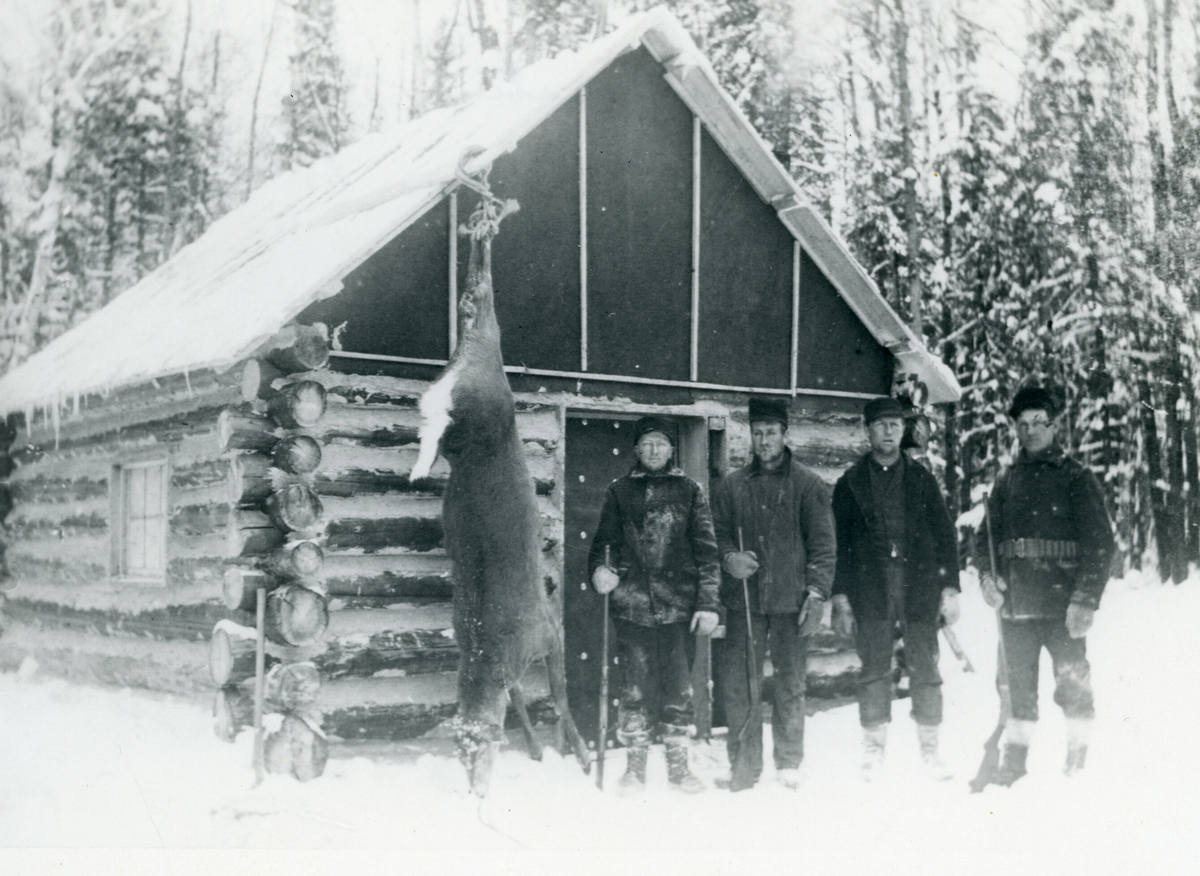 Jaktbytte henger på den andre hytta til Ener Skoe, tidleg 1900-tal.
