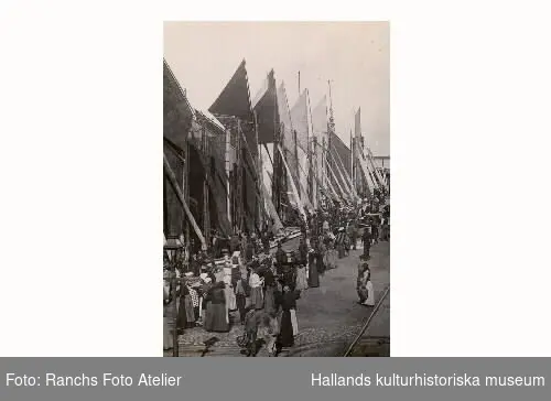 Varbergs hamn. Fiskebåtar i Varbergs hamn och mycket folk på kajen med korgar. Troligen försäljning av sill eller annan fisk. Foto från början av 1900-talet.