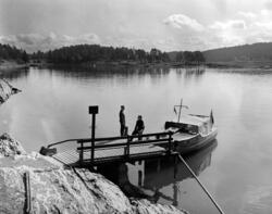 Borøya i Oslofjorden. August 1956.