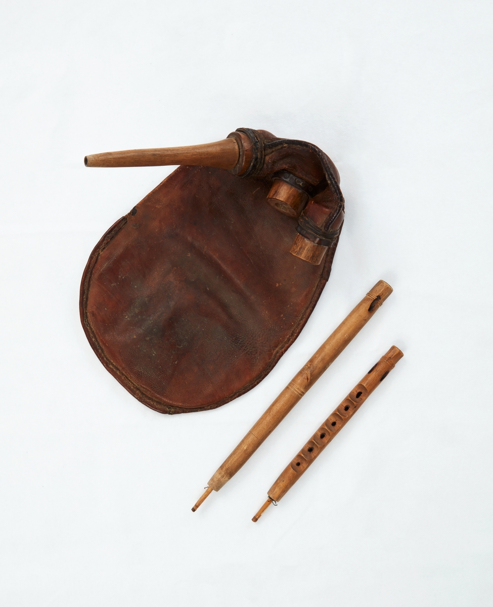 Säckpipa av västerdals-modell. Säck av brunt skinn. 

Bordunrör i björkträ (30,8 cm), spelpipa (22,3 cm) i barrträ, förmodligen gran och mundocka (19,5 cm) av svarvat björkträ. 

Säckpipan är inköpt av spelmannen Carl Gudmundsson, Västanvik, Leksand. Det är sagt att Gudmundsson köpte säckpipan på en gård i Djura 1920 och att den förmodligen härstammar från de nedre delarna av västerdalarna.

Nött. Lagningar på säcken.

Säckpipan har varit utlånad till Vansbro kommun sedan 1990. Lokaliserades och kom åter till DM 2016-07-06.