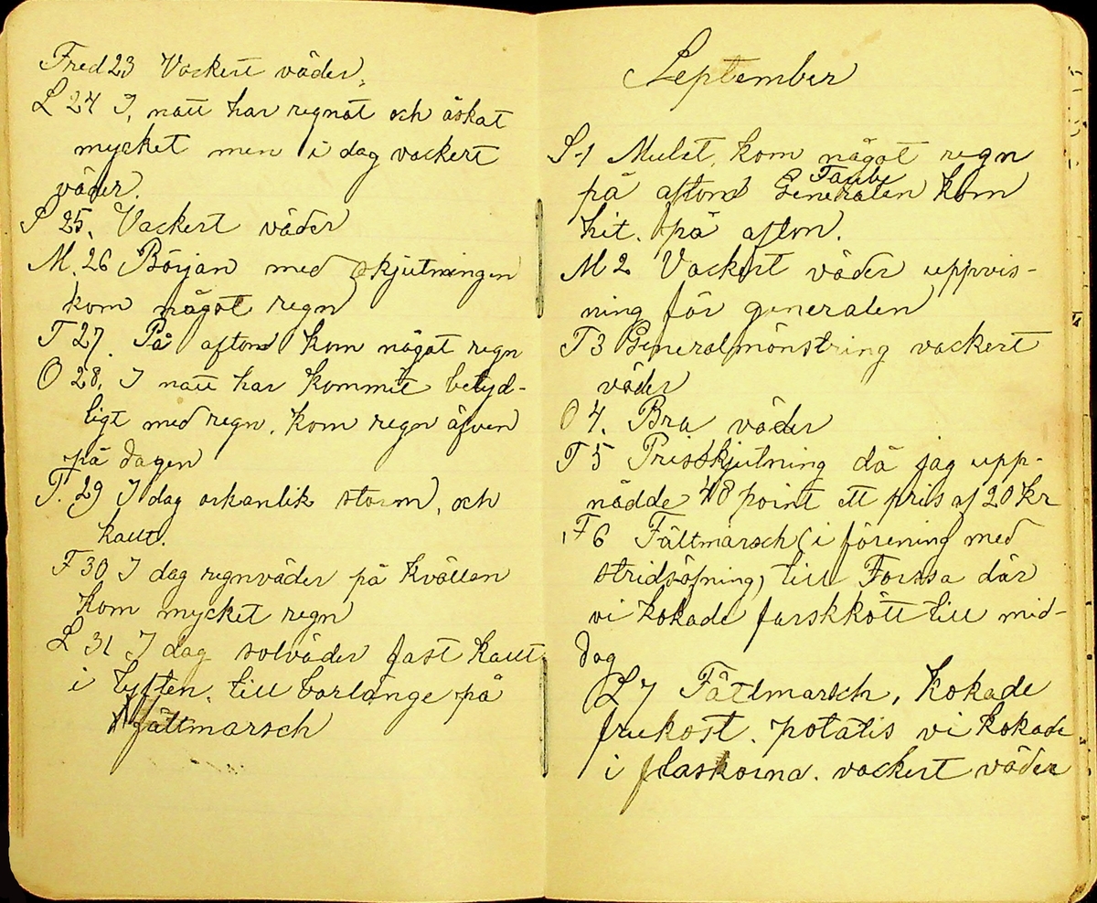 Dagbok skriven av Erik Hane, Norra Gröntuv, Tallbacken, under åren 1895-1897.
Innehåller anteckningar om bl.a. jordbruk och skogsarbete, väder, värnplikt, diverse händelser i samhället och resor.
