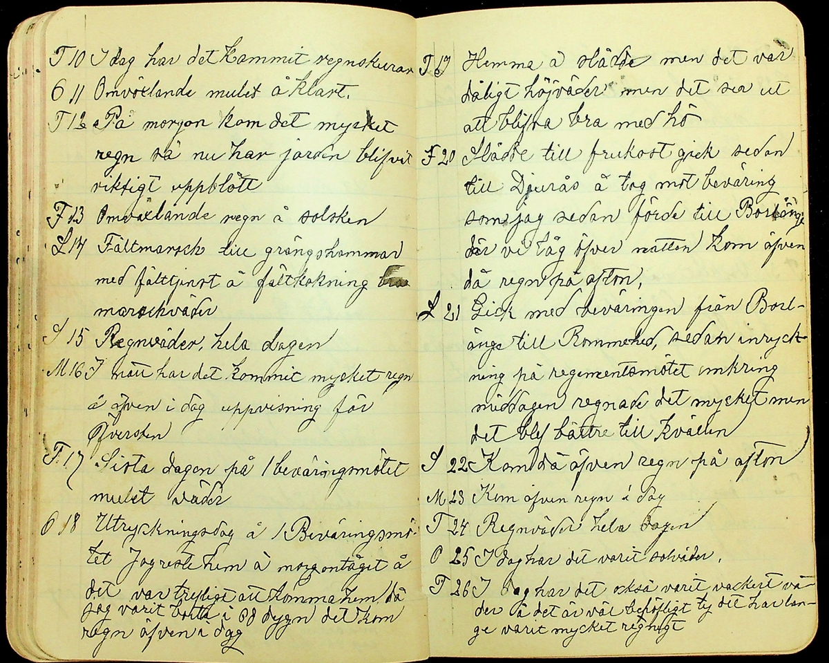 Dagbok skriven av Erik Hane, Norra Gröntuv, Tallbacken, under åren 1893-1895. 
Innehåller anteckningar om bl.a. jordbruk och skogsarbete, väder, värnplikt, diverse händelser i samhället och resor.