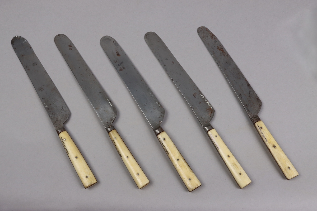 Bordsknivar av kolstål med hantag avben nitade med metallstift. Knivbladen stämplade A. M. ZANDER ESKILSTUNA.