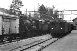 Damplokomotivene 23b 443, 26c 411 og 24b 236 og delevogner p