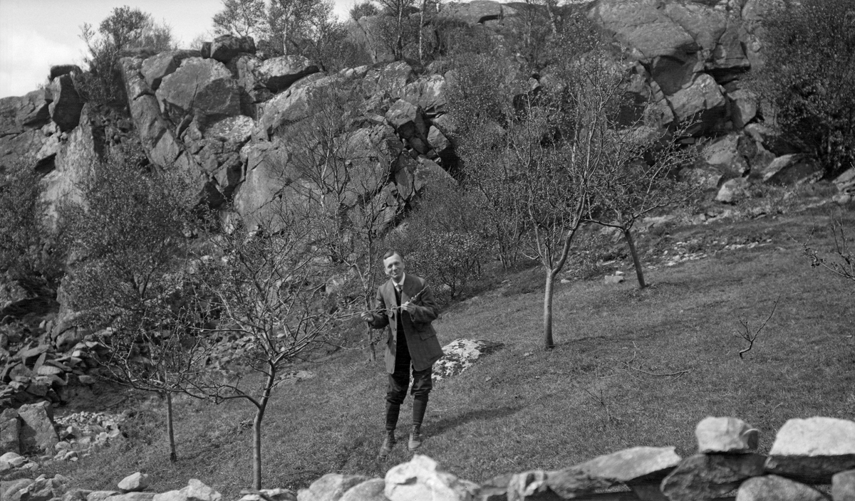 Statsentomolog Thor Hiorth Schøyen (1885-1961) i eplehage i Høyland herred på Jæren i 1913.  Fa dette fotografiet ble tatt framsto Schøyen som en velkledd, middelaldrende herre med nikkers, lang dressjakke, kvit skjorte og slips.  Han holdt ei grein fra epletrærne i hendene.  Trærne vokste på i ei grasbevokst helling omgitt av steingjerder.  I bakgrunnen ser vi en bergrygg med en del lauvtrær i revnene. 

Thor Hiorth Schøyen (1885-1961), født i Oslo, som sønn av Wilhelm Maribo Schøyen (1844-1918) og kona Sara Christine, født Boyesen (1850-1919).  Faren var utdannet ved Aas høiere Landbrugsskole (seinere Norges Landbrukshøgskole, i dag Norges miljø- og biovitenskapelige universitet) og spesialiserte seg på plantesjukdommer.  Med denne spesialiteten ble han Norges første statsentomolog fra 1894. Sønnen Thor fulgte i farens fotspor.  Etter artium i 1903 studerte han botanikk ved Det kongelige Fredriks Universitet i Kristiania, men tok aldri noen avsluttende eksamen med høyere grad.  Det var faren som var den viktigste læremesteren.  Til tross for at han ikke hadde noen høyere grad fra universitetet ble Thor Hiorth Schøyen konservator ved Universitetets zoologiske museum i 1908, og fra 1913 ble han utnevnt til farens etterfølger i statsentomologembetet, en posisjon han hadde fram til 1955.  Thor Hiorth Schøyen var også lærer i plantepatologi ved landbrukshøgskolen fra 1910 til 1950 og ved Vinterlandbruksskolen fra 1924 til 1947.  Han var den første i Norge som inndelte insektene i biologiske grupper. Hans hovedinnsats var knyttet til landbruks- og skogbruksentomologien.  Thor Hiorth Schøyen utarbeidet hvert år «Melding om skadeinsekter i jord- og hagebruk» (1913–39) og «Melding om skadeinsekter på skogtrærne» (1913–47). Han var en av de sentrale aktørene bak etableringa av Statens Plantevern i 1943, og Schøyen ledet denne virksomheten i perioden 1949–55.