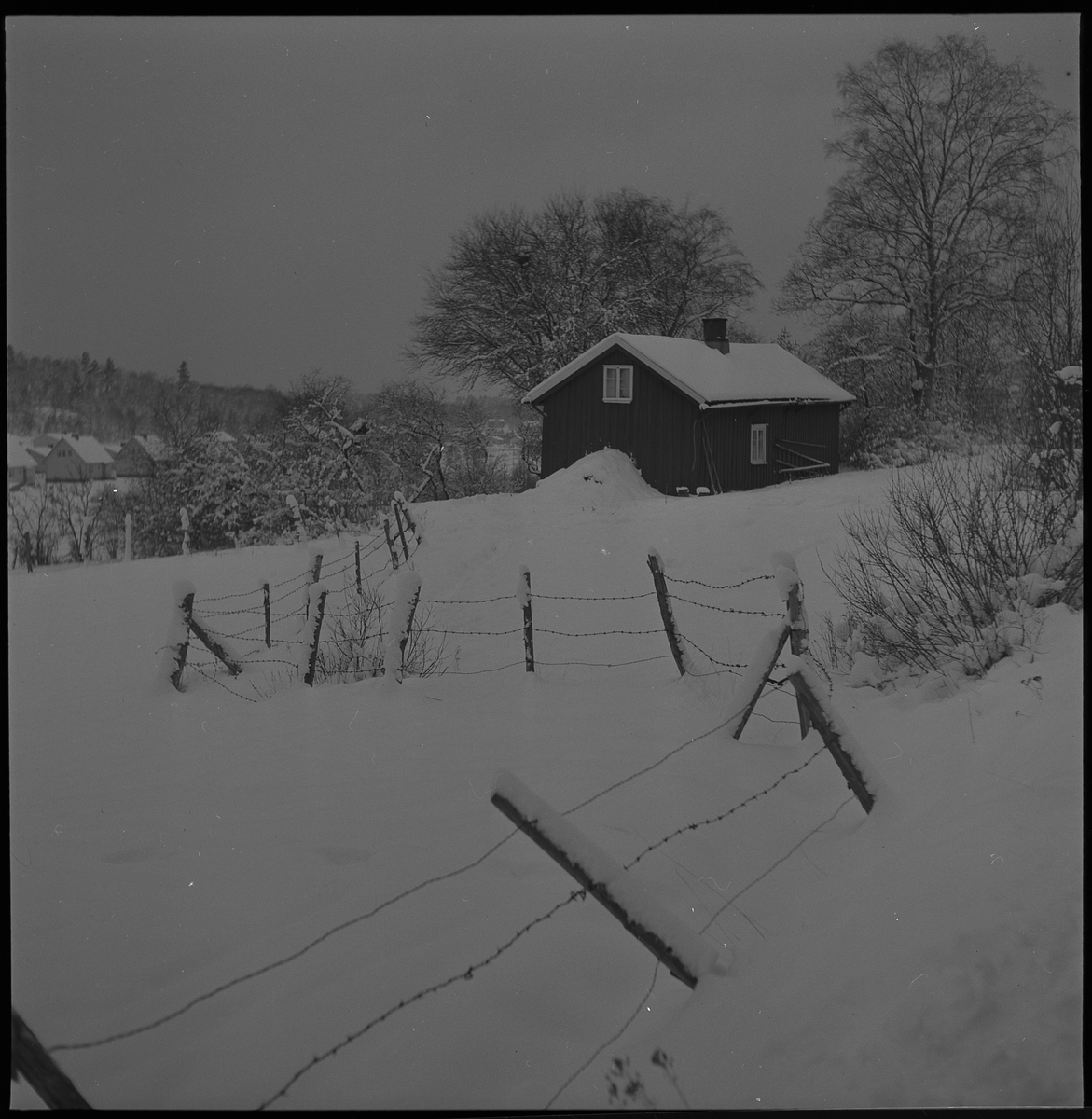 Oidentifierat torp, jan 1951. Ev vid Linneforsvägen, Stockslycke.