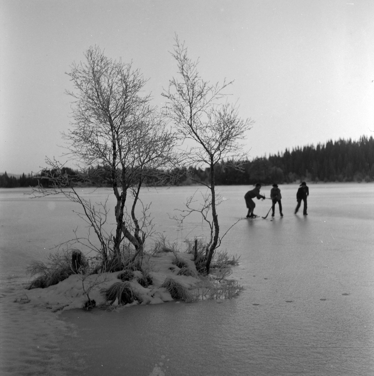Skøyteløpere på Lianvannet