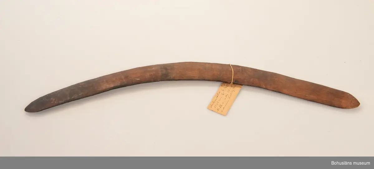 Bumerang från Australien av hårt trä, brunt. Hel