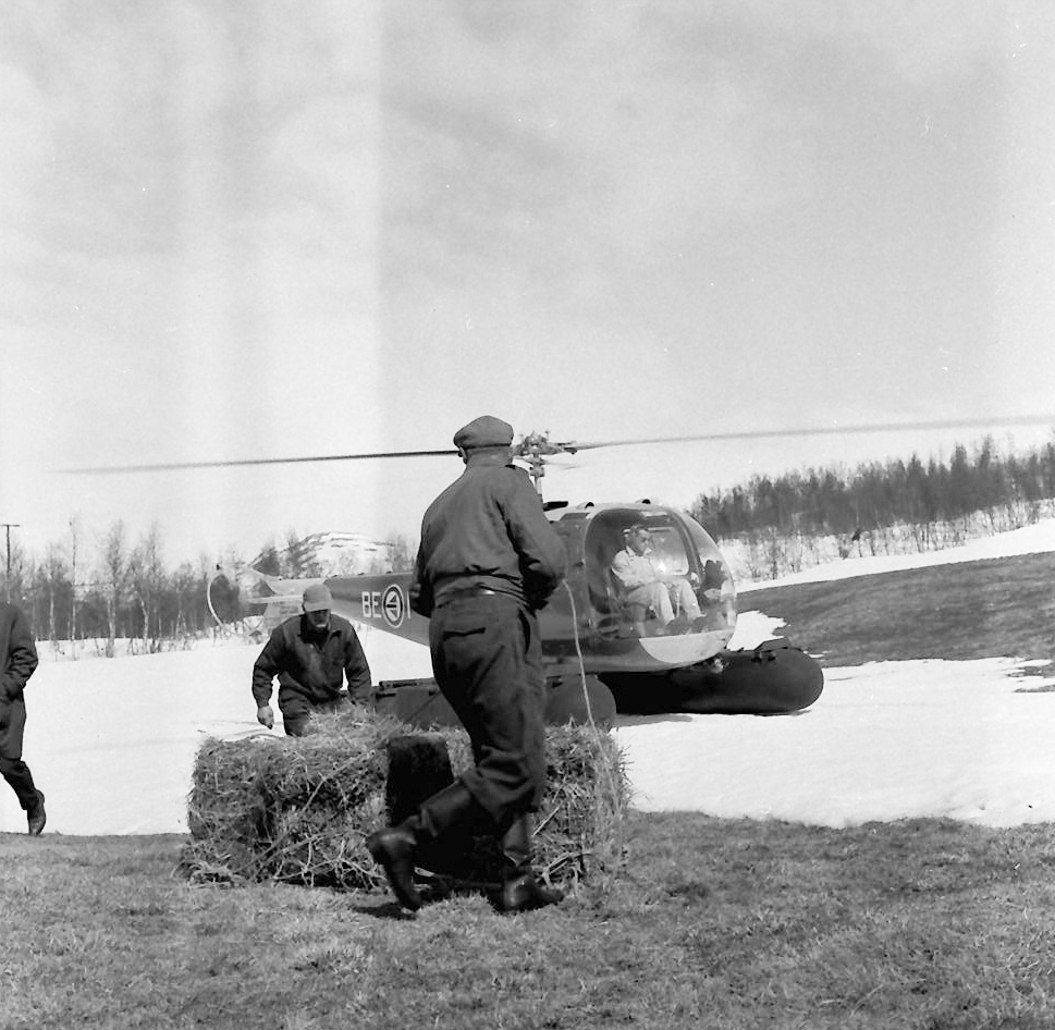 Høy og kraftfôr fraktes med helikopter til Odden (Kvikne)