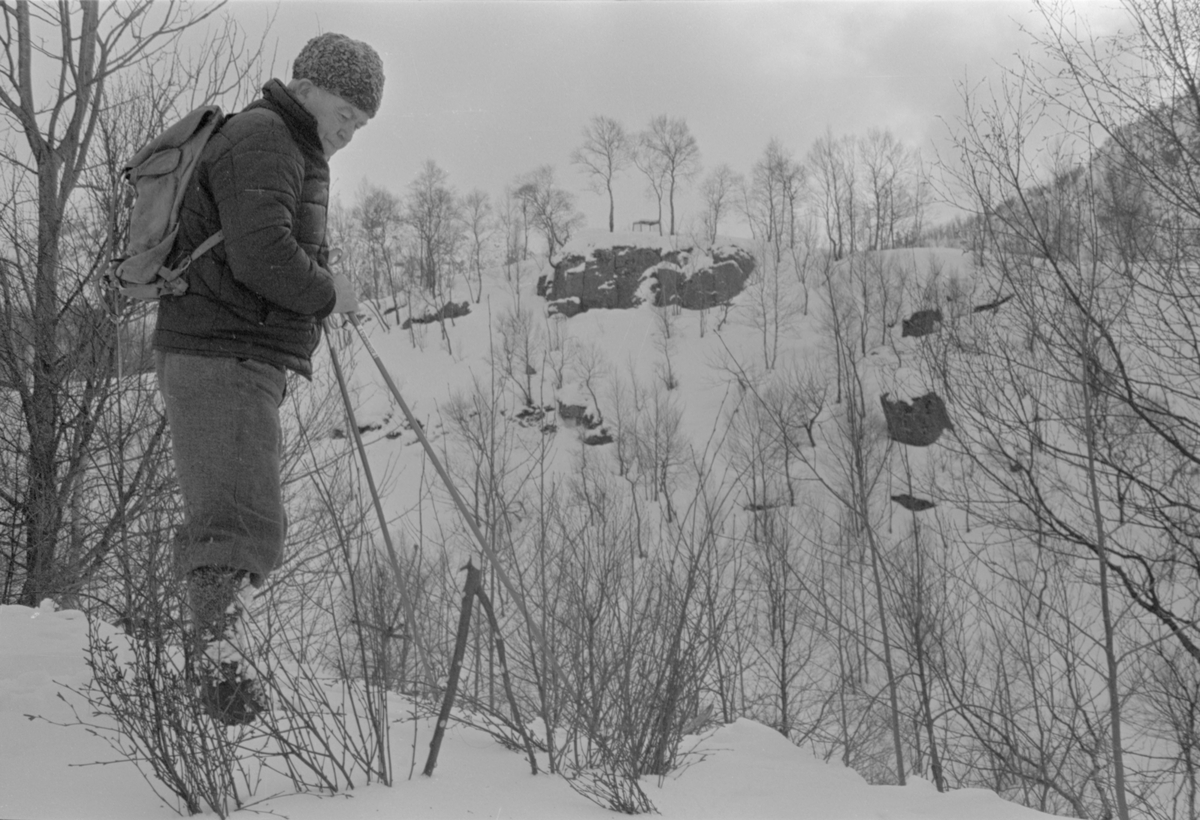 Delbert Åsen med rypefelle, desember 1976.