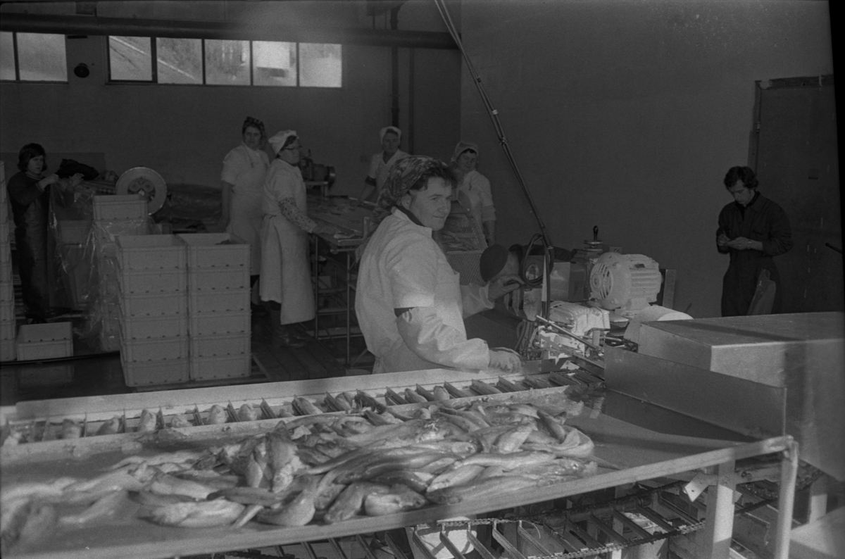 A.S. Fiskeindustri i Egersund