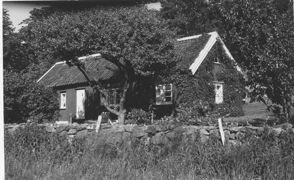 "Gården Gårdskulla", Onsala. Bilden visar ett äldre bostadshus med trädgård bakom en stengärdsgård.