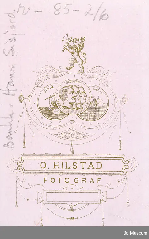 Brystbilde av ung gut; Hans S. Sisjord, i Bø. Han vart bankkasserar.
