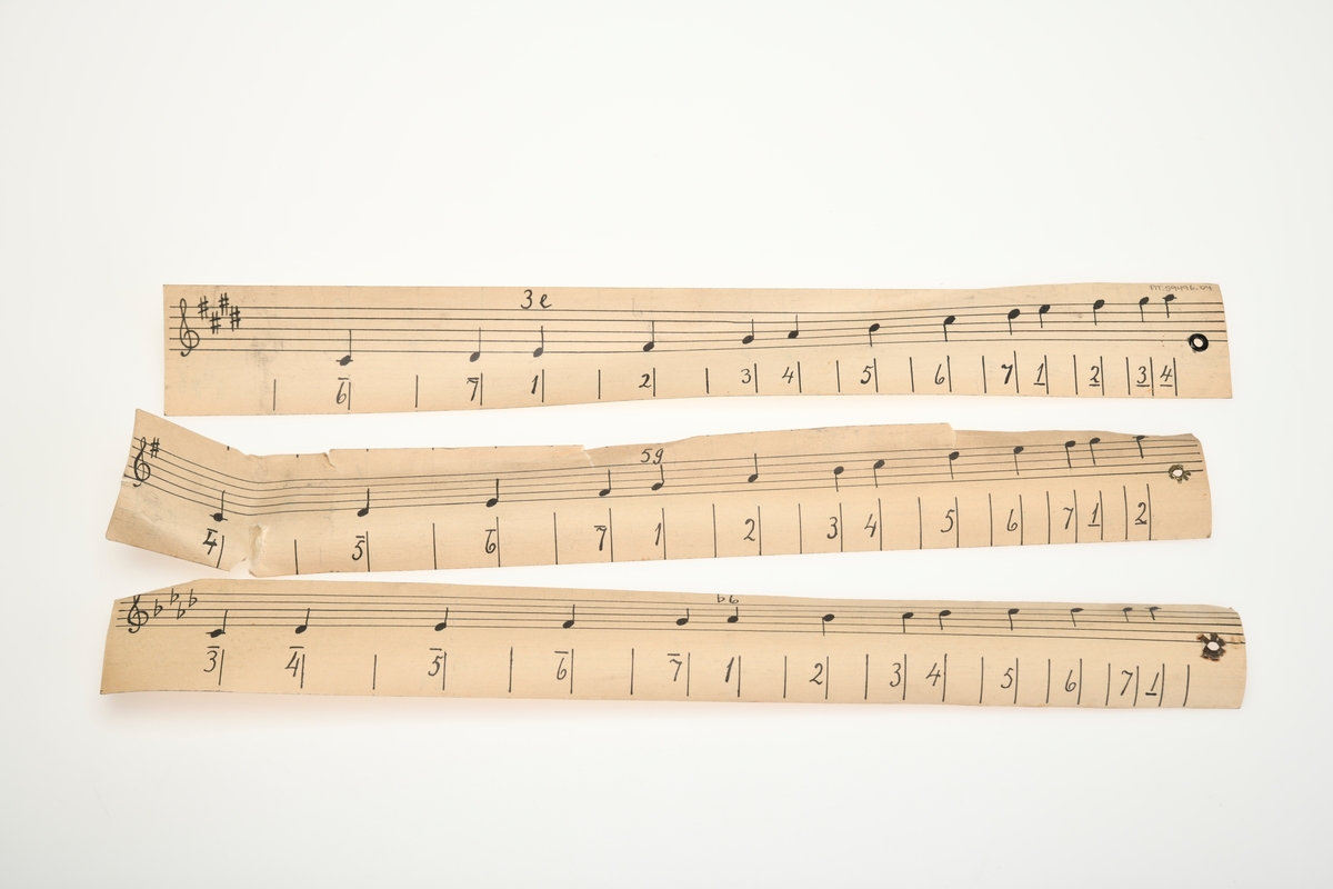 Et strenginstrument som er en forenklet kopi av en salmodikon. Den er laget av en trefjøl (furu eller gran) 54cm lang, 9cm bred og 2,5cm tykk. En trelist som er 36cm lang og 2cm bred fungerer som stigelist som er montert på fjølen. På stigelisten er det tverrstifter eller steg (markerer skalaen). På hver ende av fjølen er det montert en sal med skår i. I skåret ligger det en streng som er festet i en skrue til venstre på fjølen. Skruen strammes til slik at strengen er stram. Fora stigelisten er det et enkel noteark med noter og tall. Denne kan byttes ut. 
Man spiller på instrumentet ved å nappe i strengen som på en gitar. 
Til instrumentet er det et hefte utarbeidet av Anders Bjørgan i 1945. Heftet har en innføring/introduksjon om instrumentets bakgrunn, hvordan bygge et og hvordan spille på det. Det er noter/rettledning til 123 småsanger/salmer. Heftet er på 64 sider.
Til instrumentet hører det også til tre "noteark" av papp. De er avlange og har noter, tall og g-nøkkel på begge sider. Det er også markert med # og b som indikerer durtoneart og molltoneart.