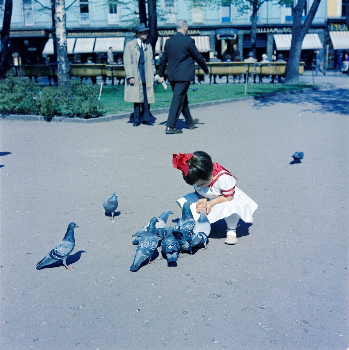 En jente sitter sammen med duer i Oslo sentrum.