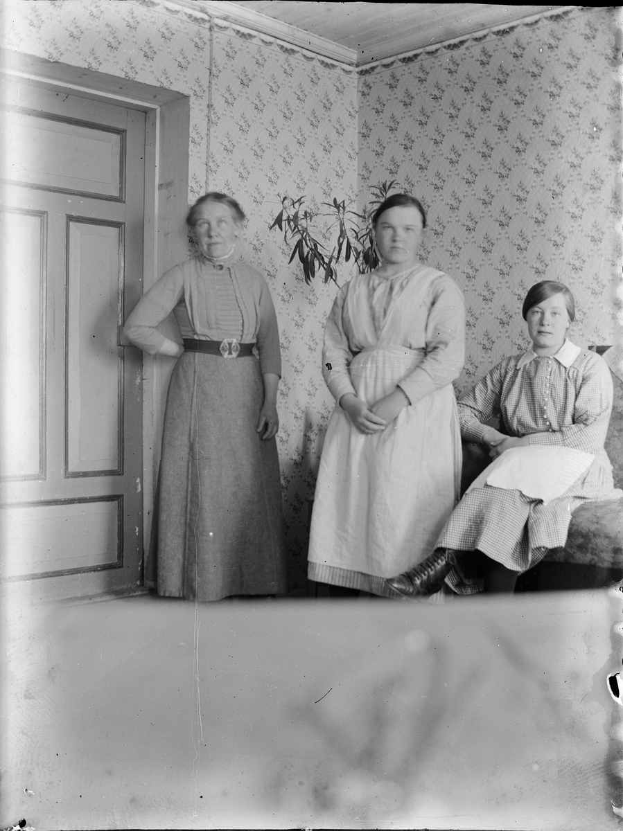 Tre kvinnor i hemmiljö