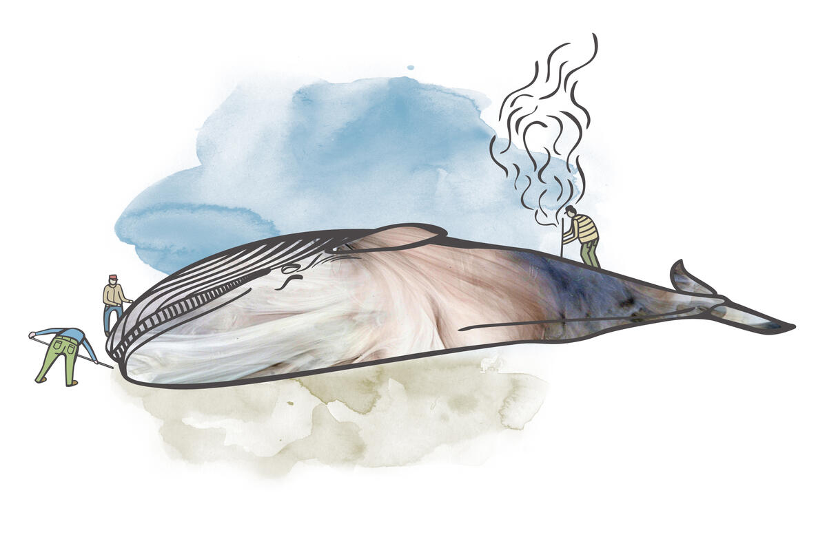Tegningen viser en blåhval på land og tre menn som jobber med å flense den (Foto/Photo)