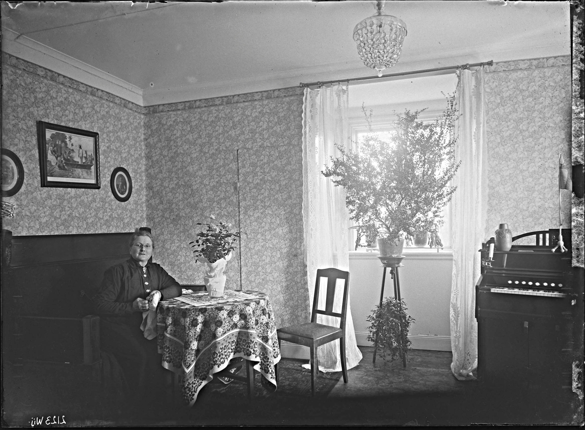 Fotografering beställd av Larsson. Föreställer småskolelärarinnan Lovisa Albertina Larsson (1861-1937) som var anställd på Svinnegarn skola.