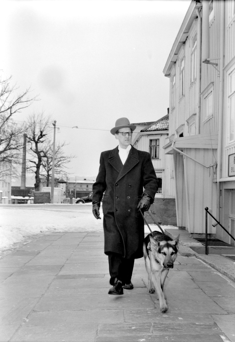 Organist Peter Risan med sin førerhund