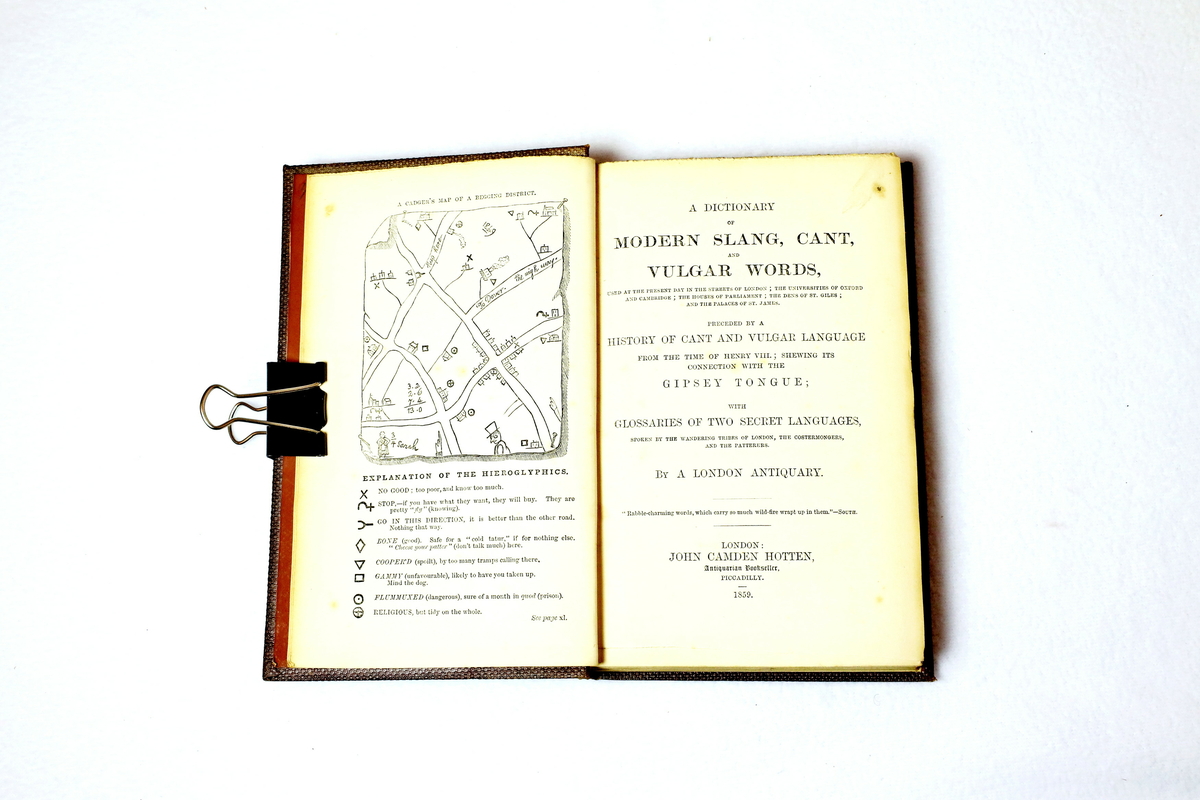 Dictionary Modern Slang, Cant, and Vulgar Words Nynorsk kultursentrum