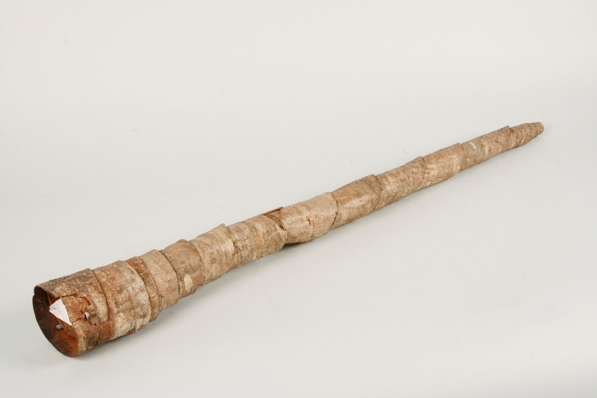 Blåseinstrument som er laget av barken fra or. Barken skjæres fra trestammen i en spiral som så rulles sammen til en konisk trompet. Kjeleformet munnstykke, ved at barken fra utsiden av munnstykket er tvinnet innover i instrumentet.