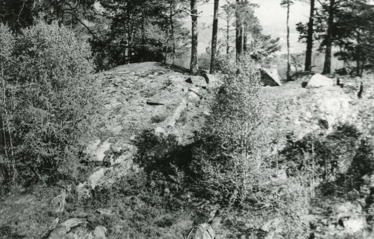 Fem bilde av gamle steinmurar.  Truleg er alle frå Trelsborg.