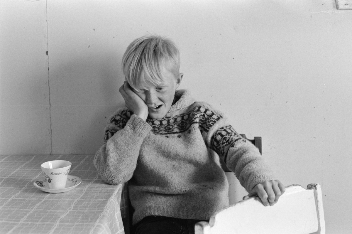 Portrett av en ung gutt ved et bord