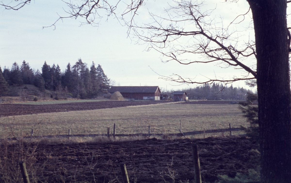 Fastigheten Hagby, Ånestad, Linköping år 1958. Bilden visar fastigheten Hagby, ett egnahem med jordbruk, byggt 1905. I idag med adress Fjärilsvägen 132, foto mot sydöst. Området bebyggdes med kedjehus 1960.,  Foto mot norr.