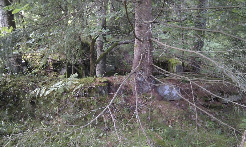 Silkemyr 3