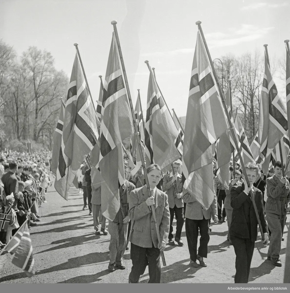 17. mai 1954. Barnetoget. Flaggborg.