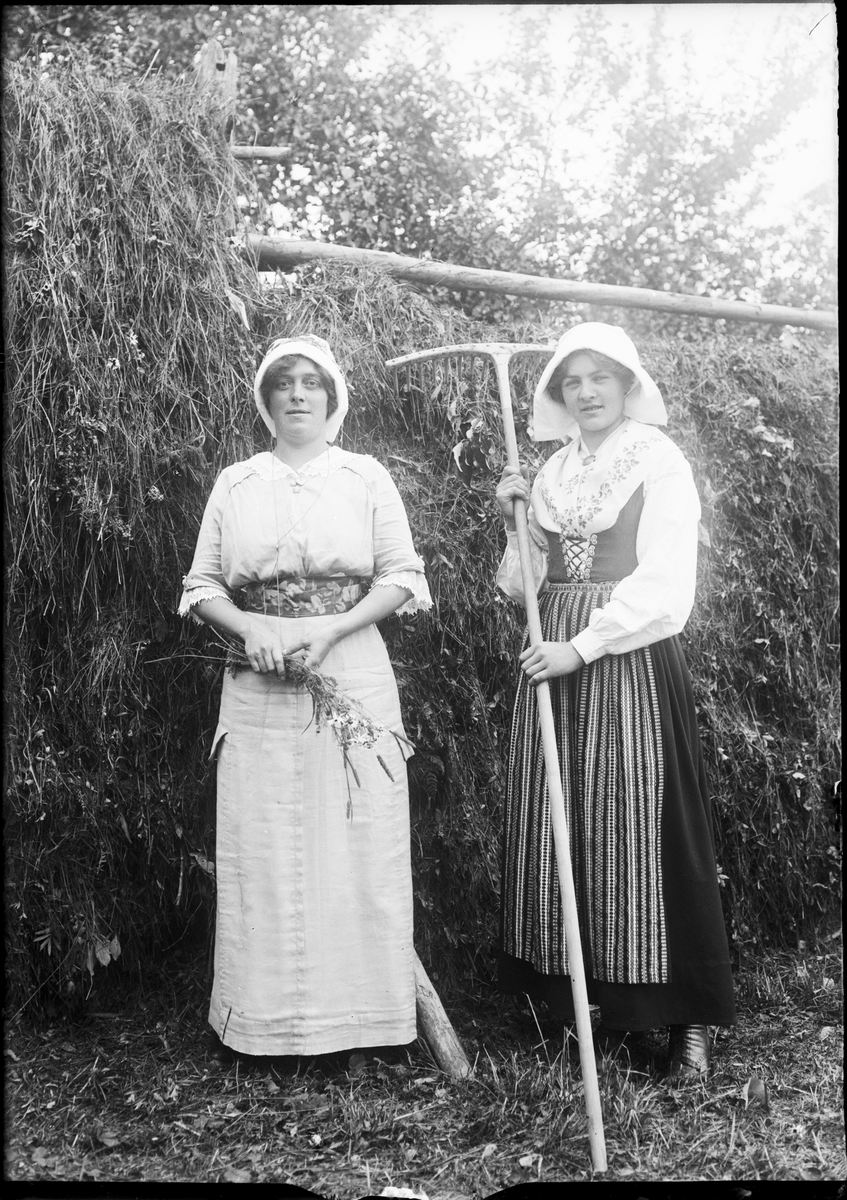 Kvinnor vid höhässja, Dalarna